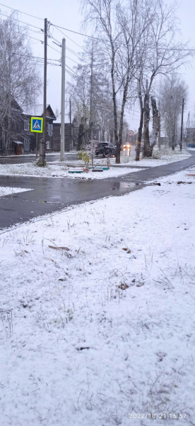 На Серовском тракте снегопад (видео)																				0
									
									
						