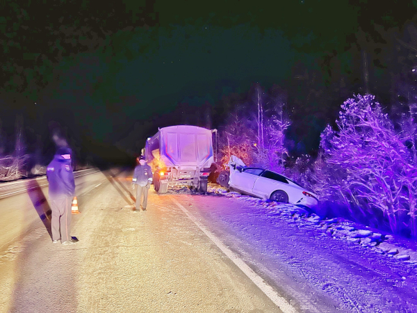  На Серовском тракте иномарка на полном ходу влетела в стоящий грузовик. Водитель погиб на месте (фото)																				0
									
									
						