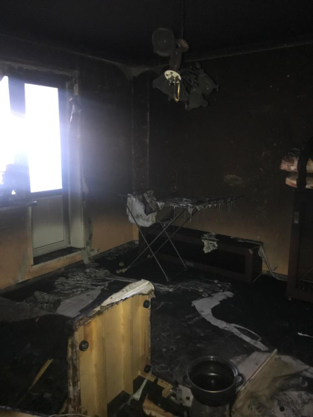  В Нижнем Тагиле в пожаре в квартире погибли две собаки																				0
									
									
						
