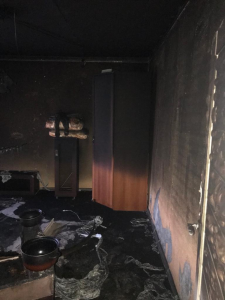  В Нижнем Тагиле в пожаре в квартире погибли две собаки																				0
									
									
						