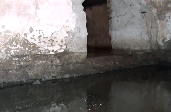  В Нижнем Тагиле убежище утопает в нечистотах (фото)																				0
									
									
						