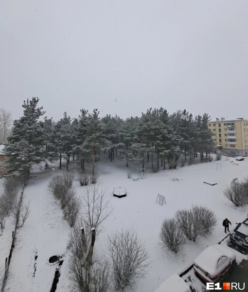 В Свердловской области выпал снег. Что обещают синоптики? 0