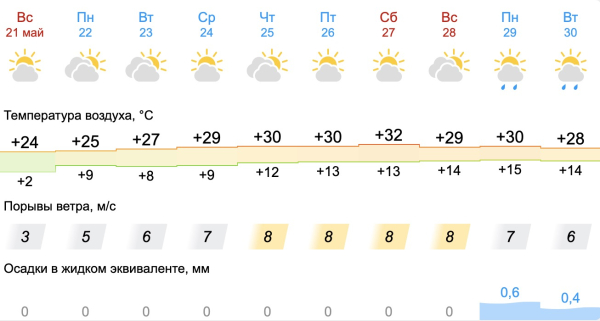 +32 и снова без дождей: погода в Свердловской области продолжит удивлять 0
