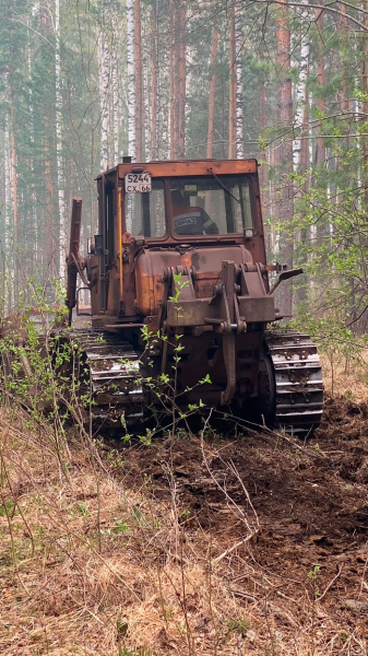 Под Нижним Тагилом горит 150 гектаров леса: что известно о пожаре на Ленёвке (фото) 0