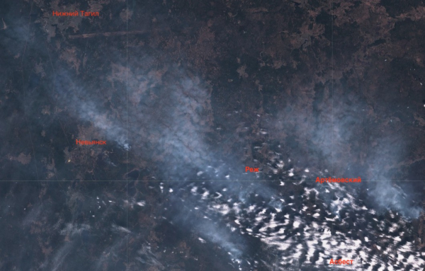Как Нижний Тагил накрыло смогом от лесных пожаров: снимки из космоса 0