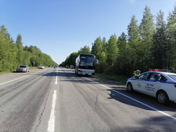 На Серовском тракте автобус влетел в легковушку, которая разворачивалась на трассе 0