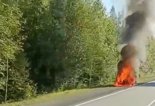 На Серовском тракте дотла выгорел Mercedes (видео) 0