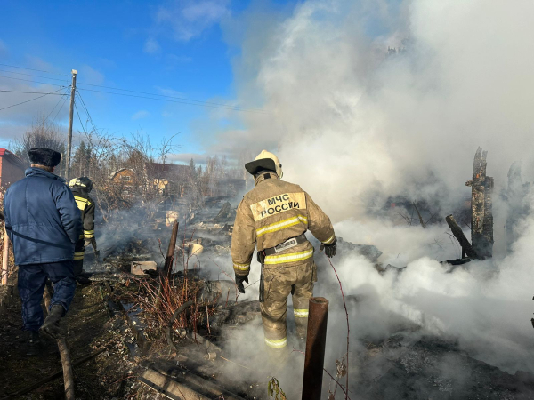 В Черноисточинске в пожаре погиб мужчина, который не успел выбежать из дома 0