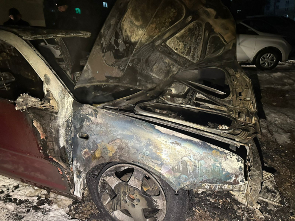 В центре Нижнего Тагила сгорел автомобиль 0