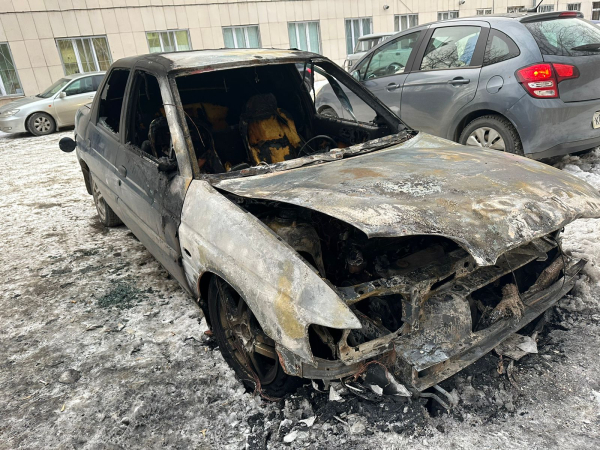 В Нижнем Тагиле у посетителя травмпункта сгорел автомобиль: фото 0