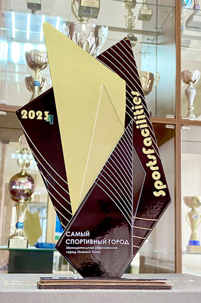 Нижний Тагил получил награду как один из самых спортивных городов 0