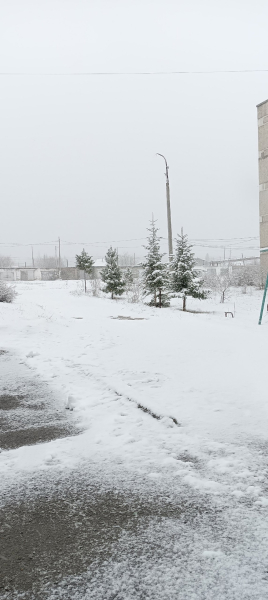 В Свердловской области снова выпал снег: фото 0