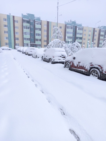 На Свердловскую область обрушились снегопады. Фото сугробов из городов 0